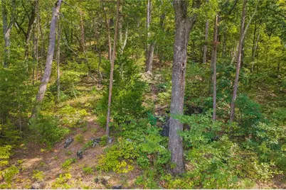 104 Hopewell Drive, Ranger, GA 30734 - Photo 12