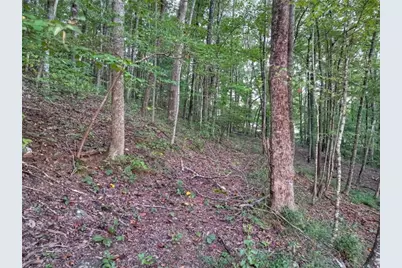 859 Hagin Circle, Ellijay, GA 30536 - Photo 64