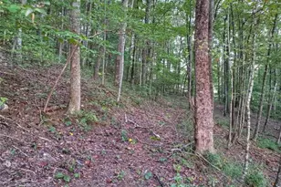 859 Hagin Cir, Ellijay, GA 30536 - Photo 64