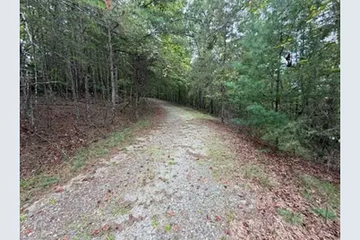 Lot 20 Horseshoe Bend Road, Dahlonega, GA 30533 - Photo 4