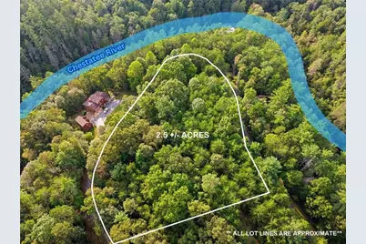 Lot 20 Horseshoe Bend Road, Dahlonega, GA 30533 - Photo 6