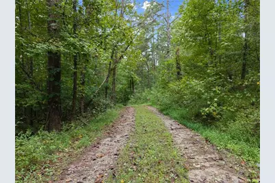 7099 George Barnes Road, Murrayville, GA 30564 - Photo 42