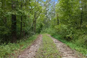 7099 George Barnes Rd, Murrayville, GA 30564 - Photo 42