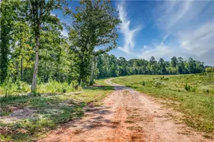 692 Hutchins Wolfskin Rd, Stephens, GA 30667 - Photo 54