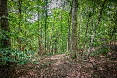 Lt103R Mountain Creek Hollow Drive, Talking Rock, GA 30175 - Photo 8
