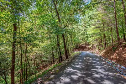 Lt103R Mountain Creek Hollow Drive, Talking Rock, GA 30175 - Photo 4