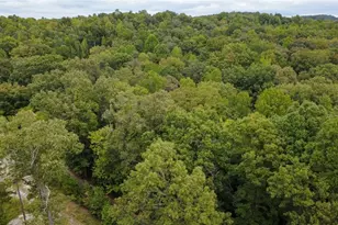 263 Cole Lake Dr, Toccoa, GA 30577 - Photo 14