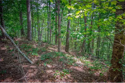 Lt104 Mountain Creek Hollow Drive, Talking Rock, GA 30175 - Photo 6