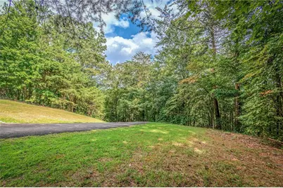 Lt104 Mountain Creek Hollow Drive, Talking Rock, GA 30175 - Photo 10