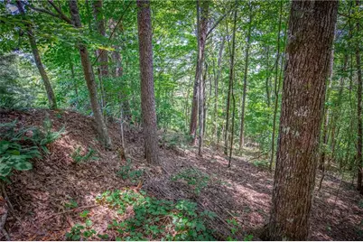 Lt104 Mountain Creek Hollow Drive, Talking Rock, GA 30175 - Photo 8