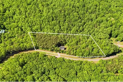 4956 Burnt Mountain Road, Ellijay, GA 30536 - Photo 6