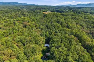 250 McCollum Rd, Ellijay, GA 30540 - Photo 38