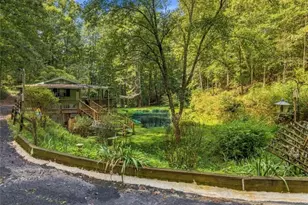 250 McCollum Rd, Ellijay, GA 30540 - Photo 36