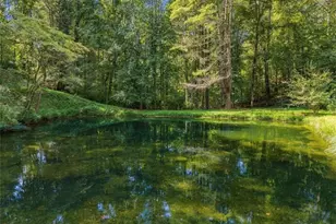 250 McCollum Rd, Ellijay, GA 30540 - Photo 42