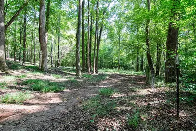 2714 Dorsey Peek Road, Gainesville, GA 30507 - Photo 56