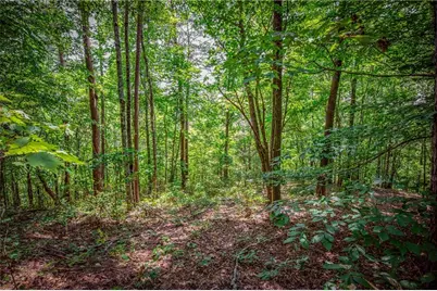 4.7Ac Mountain Creek Hollow Drive, Talking Rock, GA 30175 - Photo 22