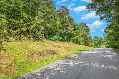 4.7Ac Mountain Creek Hollow Drive, Talking Rock, GA 30175 - Photo 14