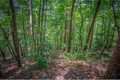 4.7Ac Mountain Creek Hollow Drive, Talking Rock, GA 30175 - Photo 16