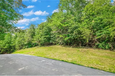 4.7Ac Mountain Creek Hollow Drive, Talking Rock, GA 30175 - Photo 8