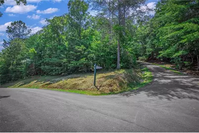 4.7Ac Mountain Creek Hollow Drive, Talking Rock, GA 30175 - Photo 12
