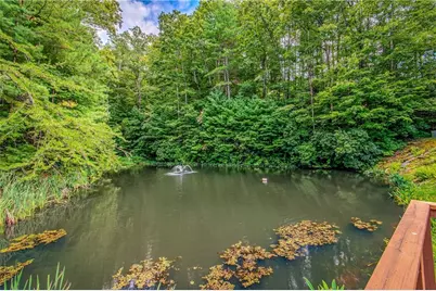 4.7Ac Mountain Creek Hollow Drive, Talking Rock, GA 30175 - Photo 60