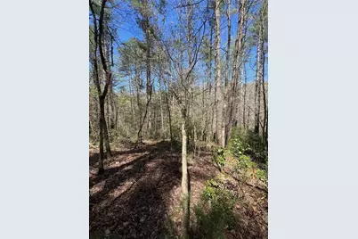 0 Trout Line Court, Talking Rock, GA 30175 - Photo 12