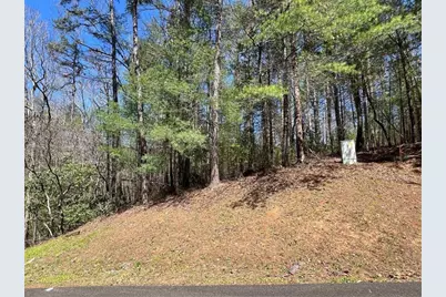 0 Trout Line Court, Talking Rock, GA 30175 - Photo 6