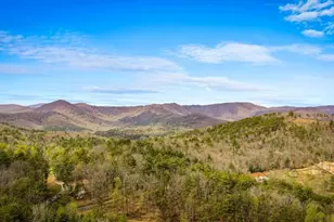 267 Oasis Dr, Blue Ridge, GA 30513 - Photo 58