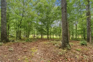 1639 Flowery Branch Rd, Auburn, GA 30011 - Photo 50