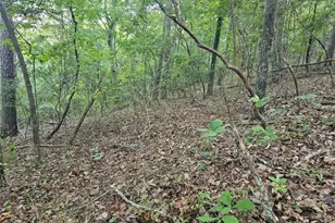 391 Meteor Ct, Ranger, GA 30734 - Photo 1