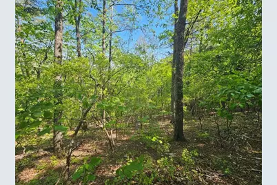 391 Meteor Court, Ranger, GA 30734 - Photo 22