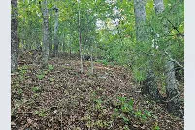 391 Meteor Court, Ranger, GA 30734 - Photo 12