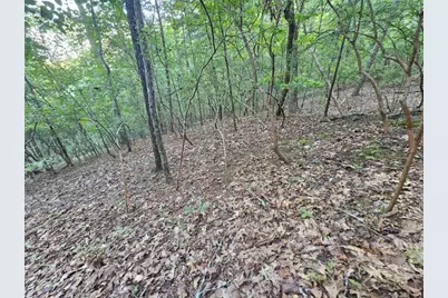 391 Meteor Court, Ranger, GA 30734 - Photo 16