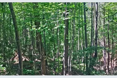 Lot 10 Mill Creek Drive, Jasper, GA 30143 - Photo 4