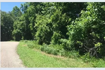 Lot 10 Mill Creek Drive, Jasper, GA 30143 - Photo 2