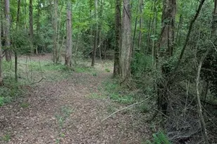 2773 River Rd, Ellenwood, GA 30294 - Photo 1