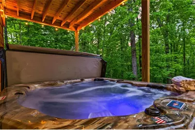 92 Windy Valley Lane, Blue Ridge, GA 30513 - Photo 60