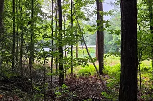 244 Timberline Rd, Jackson, GA 30233 - Photo 46