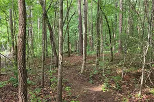 244 Timberline Rd, Jackson, GA 30233 - Photo 50