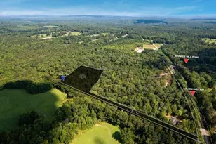 7704 Georgia Hwy 100, Buchanan, GA 30113 - Photo 1