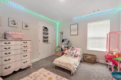 447 Brooks Village Drive, Pendergrass, GA 30567 - Photo 24