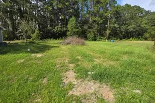 340 Avera Mill Rd, Nashville, GA 31639 - Photo 38