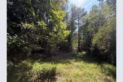761 Roscoe Collette Road, Dawsonville, GA 30534 - Photo 16