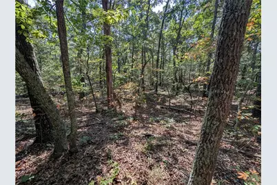 70 Pearl Lane, Cartersville, GA 30120 - Photo 38