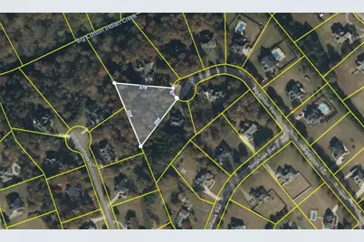 126 Big Cotton Trail, McDonough, GA 30252 - Photo 4