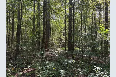 003 Bullock Farm Road, Dallas, GA 30157 - Photo 10