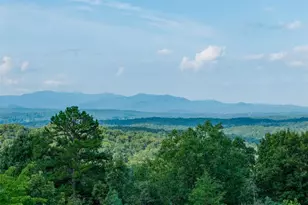 24 Oak Ledge Rd, Morganton, GA 30560 - Photo 2