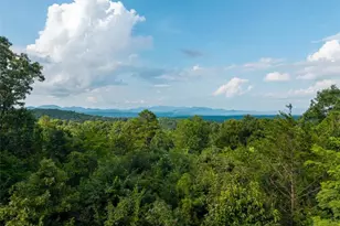 24 Oak Ledge Rd, Morganton, GA 30560 - Photo 60