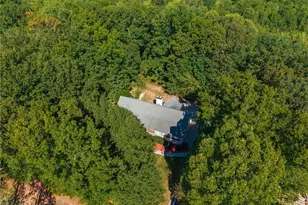755 Old Hornage Rd, Ball Ground, GA 30107 - Photo 38