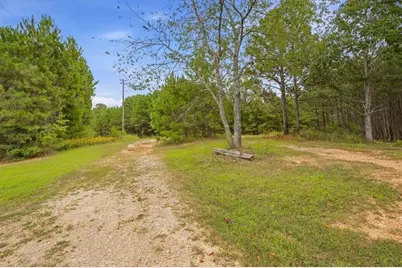 138 Roy Dean Road, Buchanan, GA 30113 - Photo 18